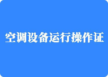 大鸡巴操弄小骚屄流水视频制冷工证